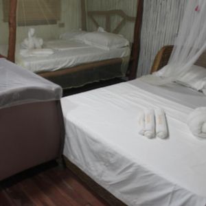 Dreamer Resort